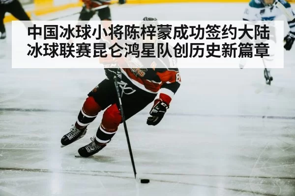ice hockey player skating