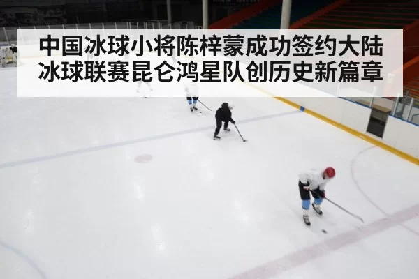 Chinese ice hockey training